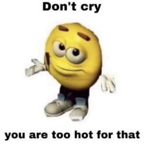 Meet your Posher, Remi